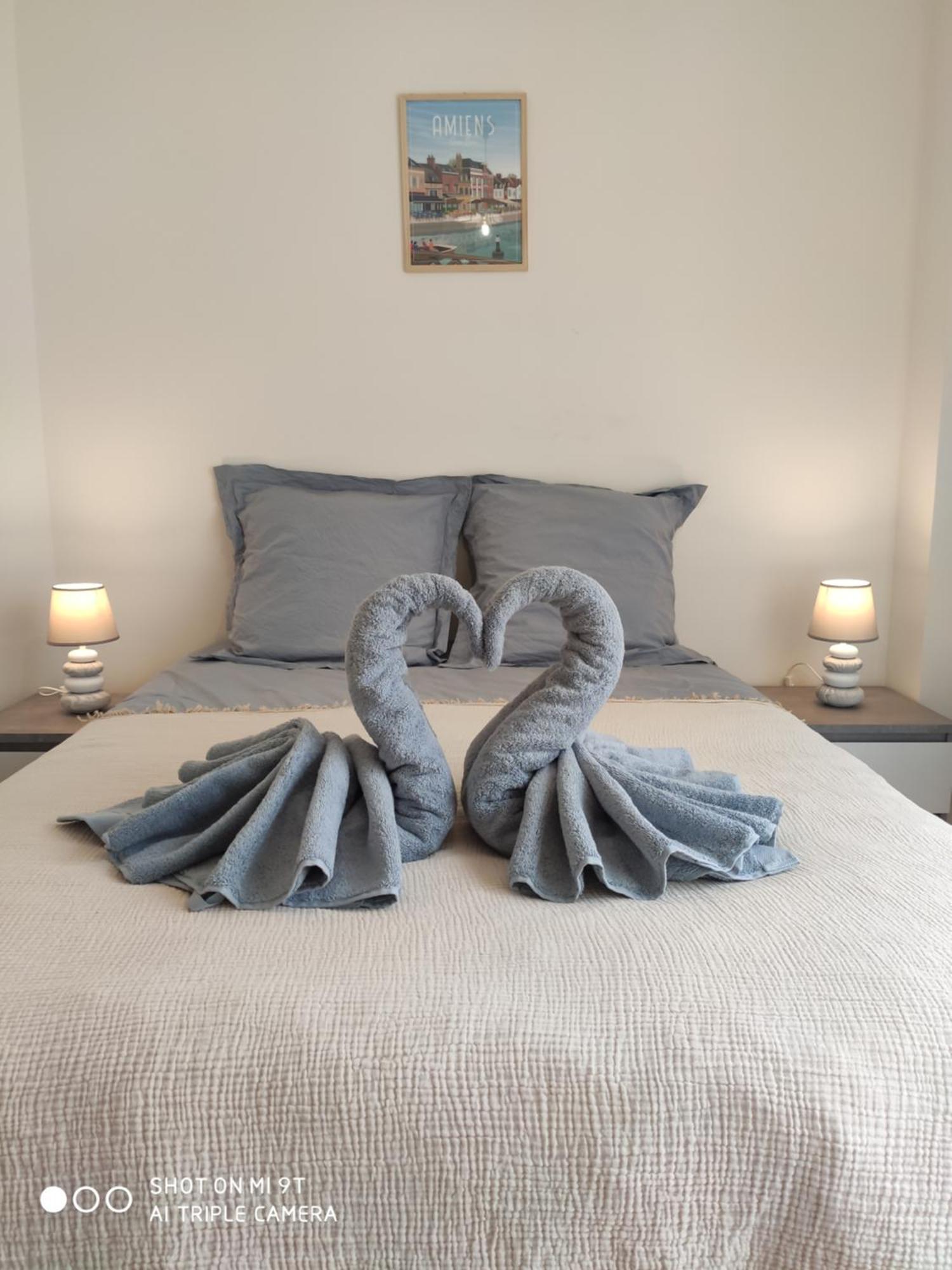 Sublime T2 Lumineux Avec Balcon - Rue Gratuite Apartment Amiens